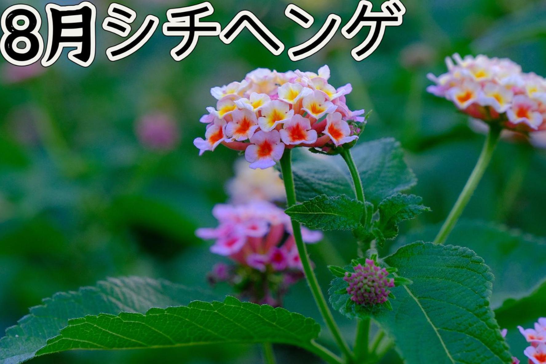 伊都山海渓 Itoshima Exterior photo