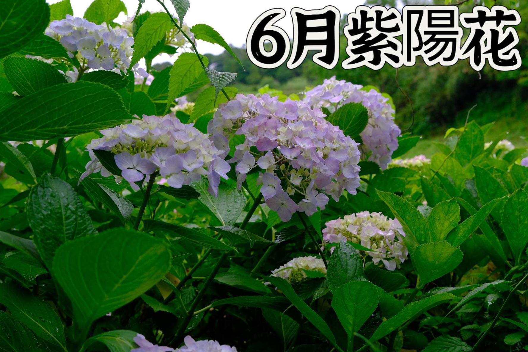 伊都山海渓 Itoshima Exterior photo
