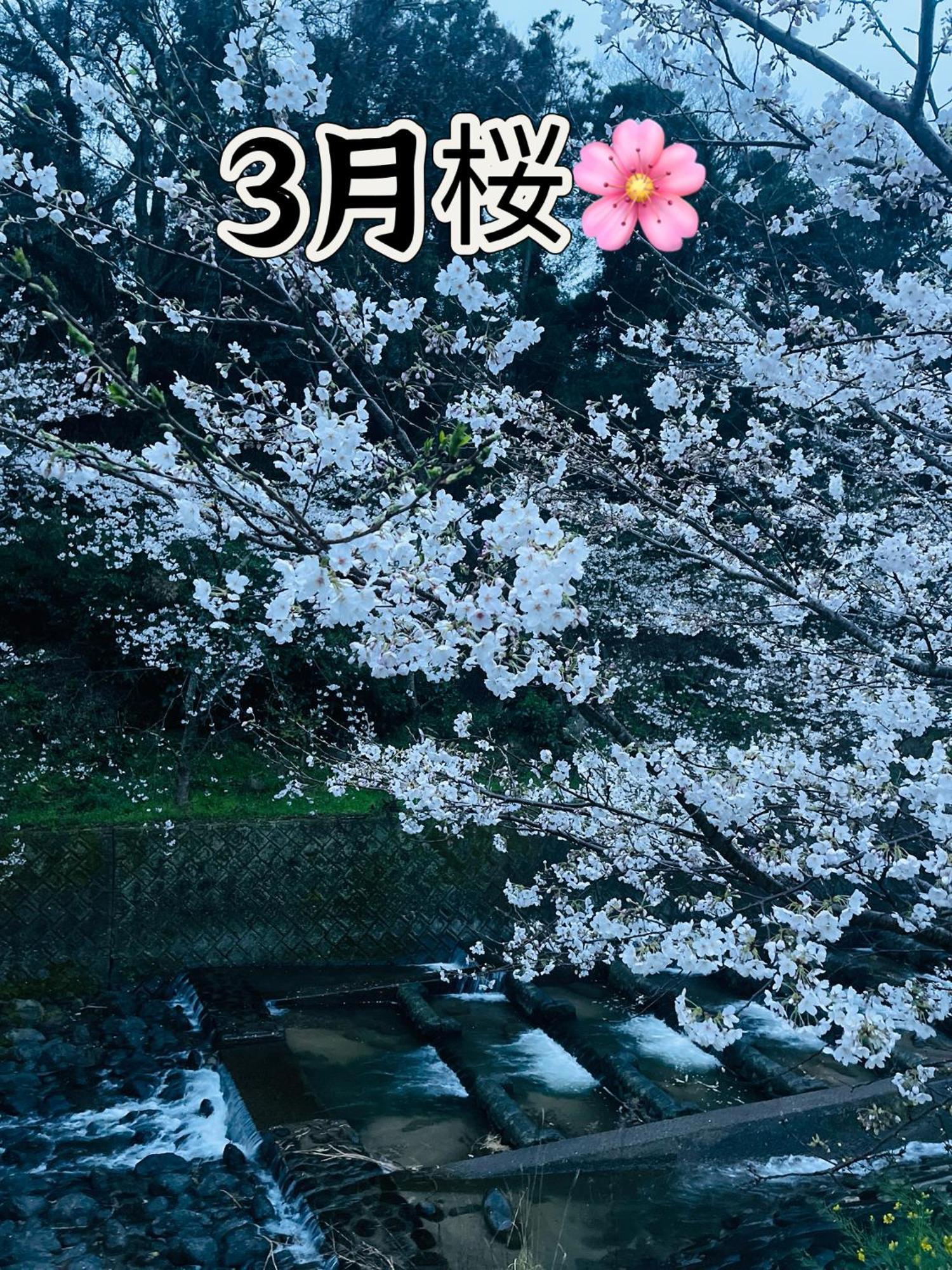伊都山海渓 Itoshima Exterior photo