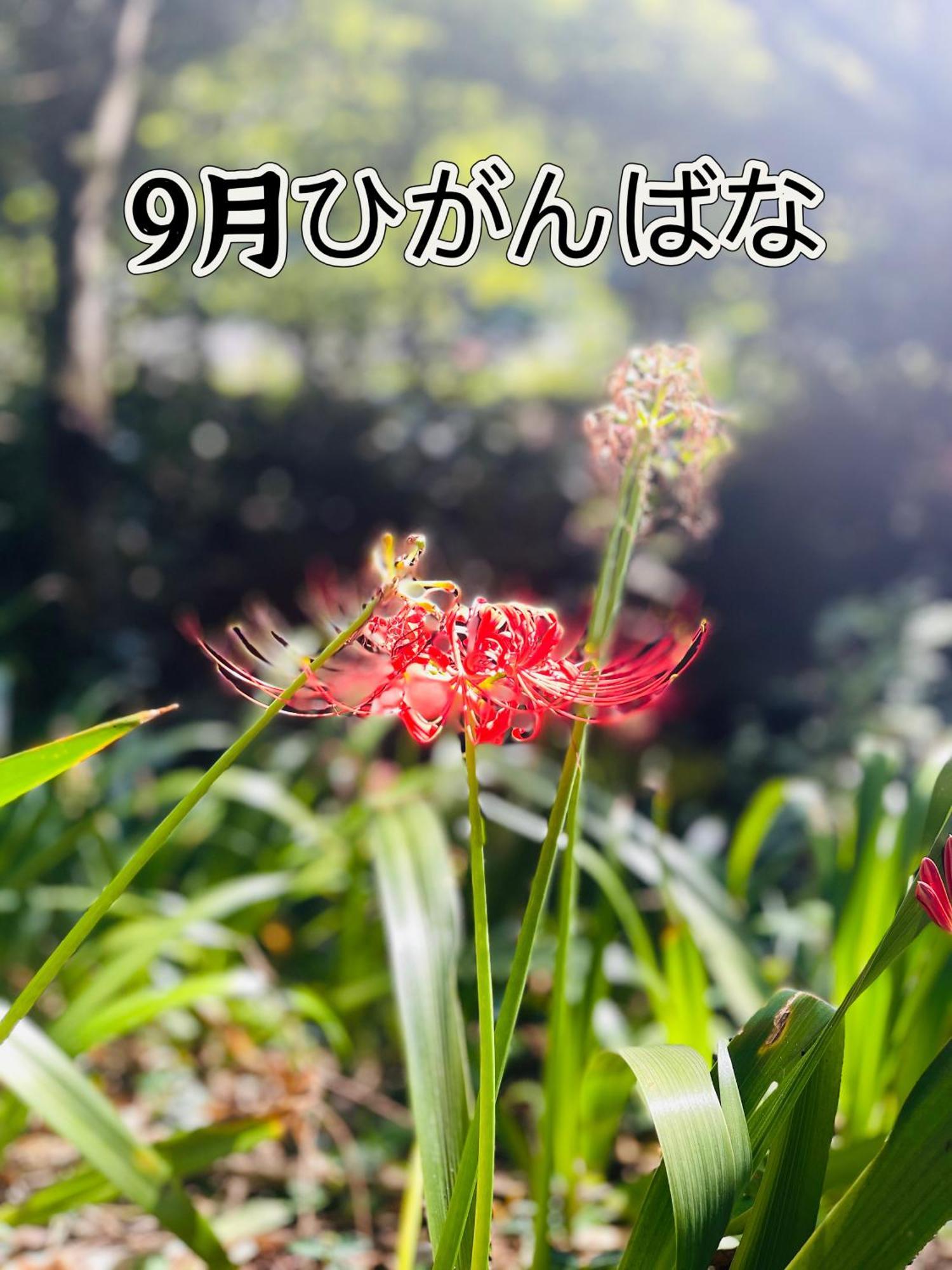 伊都山海渓 Itoshima Exterior photo